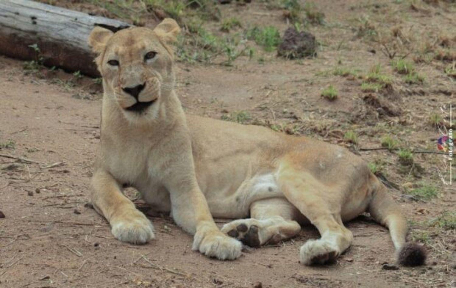 Número de visitas ao Zoobotânico nos finais de semana triplicou com a PPP