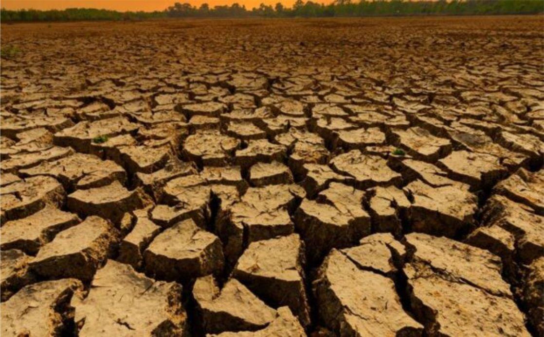 Governador decreta estado de emergência em 86 municípios piauienses